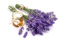 Lavander with aromatic oil Royalty Free Stock Photo