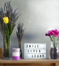 Flowers and home decorations set up with inspirational message 7