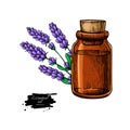 Lavander essential oil bottle and bunch of flowers hand drawn ve