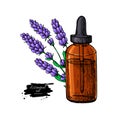 Lavander essential oil bottle and bunch of flowers hand drawn ve