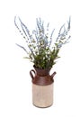 Lavander in metal vase