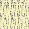 Lavander seamless pattern on yellow background