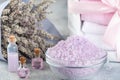 Lavander spa setting: salt, essential oil and dried flowers natural spa products and decor for bath on light background Royalty Free Stock Photo