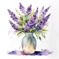 lavander watercolor illustration lavander fueld flowers in vase Royalty Free Stock Photo
