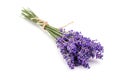 Lavander on white Royalty Free Stock Photo