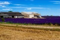 lavandes angelvin valensole, one of the most famous lavender farms and distilleries in provence, france Royalty Free Stock Photo