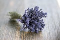 Lavandula angustifolia bunch of dry flowers in bloom tied with jute white rope