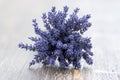 Lavandula angustifolia bunch of dry flowers in bloom tied with jute white rope