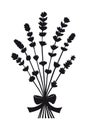 Bunch of lavender flowers with bow - black silhoutte