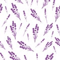 Seamless purple silhouette lavender pattern on white background.