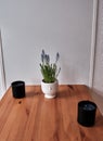 lavandula with some candles stand on the table