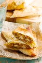 Lavash chicken pies.style rustic