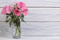Lavater pink flowers in a glass Royalty Free Stock Photo