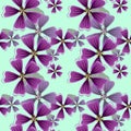 Lavatera, mallow, malva. Seamless pattern texture of flowers. Fl