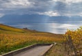 Lavaux region on autumn 5 Royalty Free Stock Photo