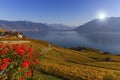 Lavaux region, Vaud, Switzerland Royalty Free Stock Photo