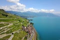 Lavaux, Switzerland Royalty Free Stock Photo