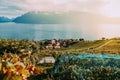 Lavaux, Switzerland: Little town, Lake Geneva and the Swiss Alps landscape seen from Lavaux vineyard tarraces in Canton Royalty Free Stock Photo
