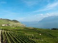 Lavaux vineyards (4) Royalty Free Stock Photo