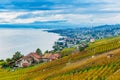 Lavaux vineyards Royalty Free Stock Photo