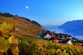 Vineyard terraces in the famous Lavaux wine region, Switzerland.