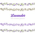 Laveder line border Royalty Free Stock Photo