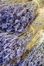 Lavender Royalty Free Stock Photo