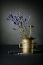 Lavender Royalty Free Stock Photo