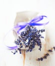 Lavender Royalty Free Stock Photo