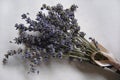 Lavender Royalty Free Stock Photo
