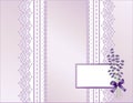 Lavender & Antique Lace Present Royalty Free Stock Photo