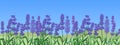 Lavender background. Botanical border. Green field with purple flowers, blue sky. Decorative horizontal banner backdrop