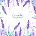 Lavender background with flowers. Watercolor imitation design with paint splashes Vector illustration Provence style