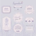 Lavender background, product label packaging design