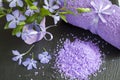 Lavender bath salts with flowers and towel Royalty Free Stock Photo