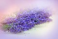 Lavender Royalty Free Stock Photo