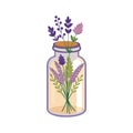 Lavender and Berry Bouquet in Jar Illustration on White Background for Creative Projects Royalty Free Stock Photo