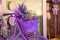 Lavender bicycle and flowers