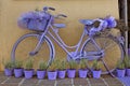 Lavender & Bicycle