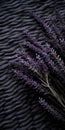 Lavender On Black: Organic Sculpting And Soft Focal Points