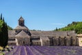 Lavender bloom in front of a Abbey in Provence France.