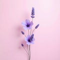 Lavender Blooms Drift in a Pastel Pink Dream Royalty Free Stock Photo