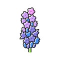 lavender blossom spring color icon vector illustration