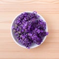 Lavender blossoms Royalty Free Stock Photo