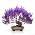 Lavender Bonsai Tree In A Bowl - Grandiloquent Landscapes