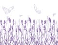 Lavender border