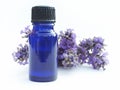 Lavender Bottle Royalty Free Stock Photo