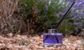 Lavender bottle flower perfume in the field