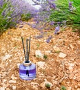 Lavender bottle flower perfume in the field Royalty Free Stock Photo