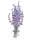 Lavender bouquet